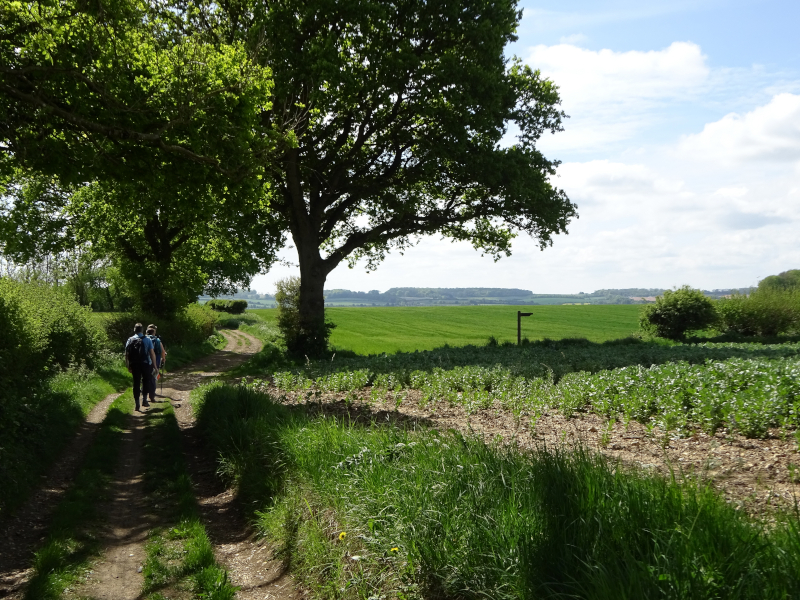 Pilgrims On St James' Way