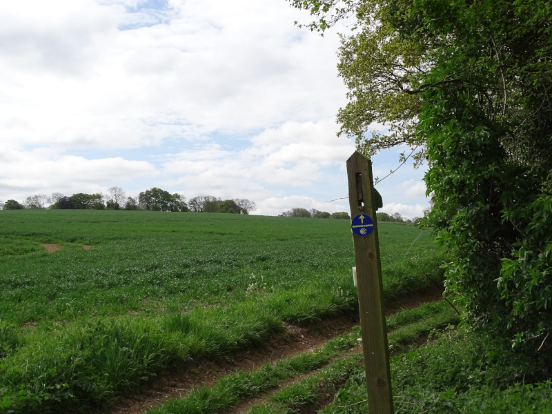 St James' Way Waymarker